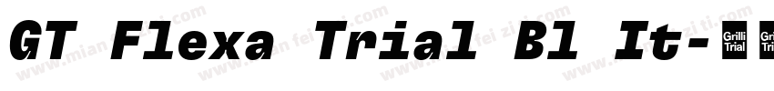 GT Flexa Trial Bl It字体转换